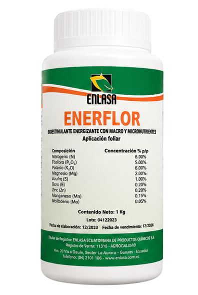 Enerflor